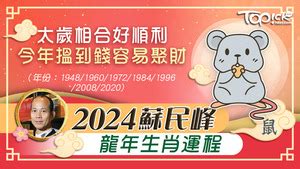 2024門口地氈顏色|2024年龍年布局｜蘇民峰教家居風水布局 趨旺財運桃 